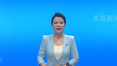 楚商回乡 共建支点 孝昌县举行2026年清明节招商推介活动