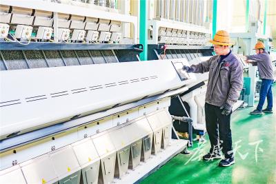 大地米业：一粒米的“蝶变”