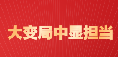 中国元首外交为动荡世界注入稳定力量