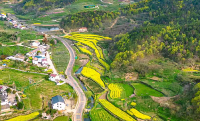 湖北文旅关注孝昌：自驾这座小城，去看茶山、湖岛和苍鹭！