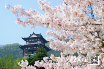 今日谷雨！暮春既至，初夏将来