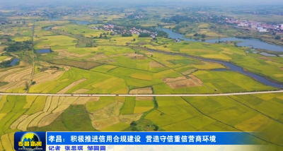 孝昌：积极推进信用合规建设 营造守信重信营商环境