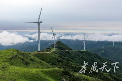 这里的绿色发展“峰”景独好