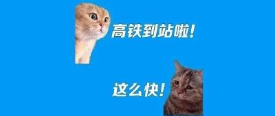 121座高铁站，可托运宠物！