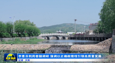 李惠芬到周巷镇调研 强调以正确政绩观引领高质量发展
