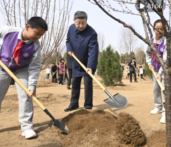 近镜头｜为山川大地增添锦绣