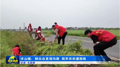 孝昌丰山：群众自发清沟渠 筑牢农田灌溉线