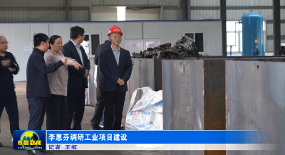 李惠芬调研工业项目建设