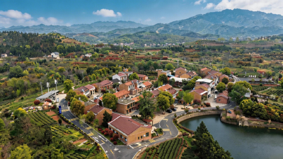 新农人 兴产业丨沈腾：以青春智力焕发乡村活力