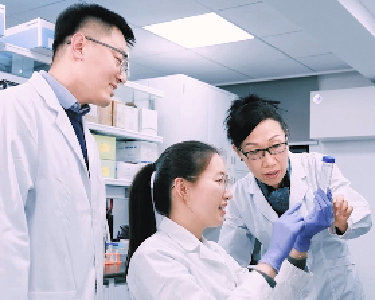 一习话丨“培养更多适应高质量发展、高水平自立自强的各类人才”