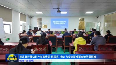 孝昌县开展知识产权宣传周“进园区”活动 与企业面对面座谈问需解难