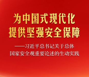 习近平总书记关于总体国家安全观重要论述的生动实践