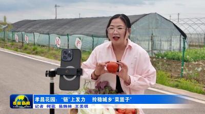 孝昌花园：“链”上发力 拎稳城乡“菜篮子”