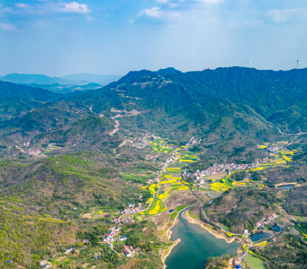 早安湖北｜孝感观音湖，一湖春韵一岭茶香 