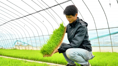 我的青春在乡村｜付鹏程：把青春留在田野 把希望种满家乡