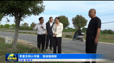 李惠芬到小河镇、邹岗镇调研