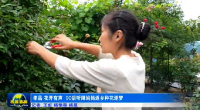 孝昌：花开有声  90后听障妈妈返乡种花逐梦 