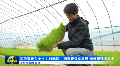 我的青春在乡村｜付鹏程：把青春留在田野 把希望种满家乡