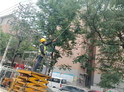 黏糊糊！孝感栾树“滴油”之谜终于解开