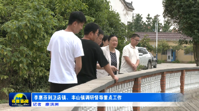 李惠芬到卫店镇、丰山镇调研督导重点工作