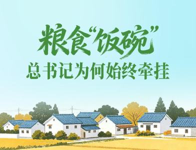 一见·粮食“饭碗”，总书记为何始终牵挂