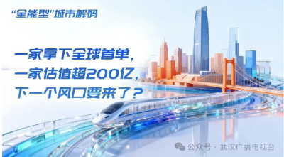 一家拿下全球首单，一家估值超200亿，下一个风口要来了？