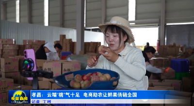 从枝头到云端 孝昌血桃“出山记” 