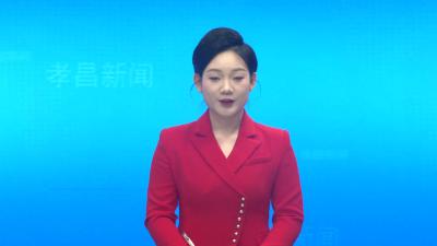 孝昌县市级以上农业产业化重点龙头企业信用合规管理培训暨推进会召开