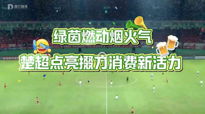 绿茵燃动烟火气，赛事带旺经济！楚超联赛点亮掇刀消费新活力