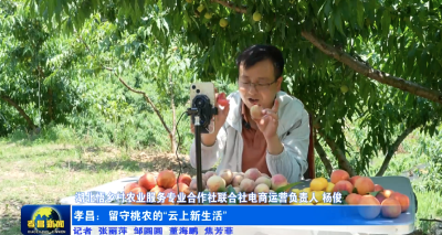 孝昌：数字赋能桃产业 桃农云上奔富路