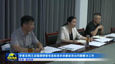李惠芬到王店镇调研督导高标准农田建设突出问题整治工作
