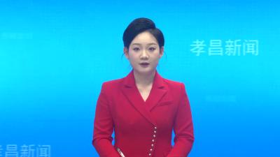 孝昌第一支部点亮星火 彭店红色沃土再谱新篇