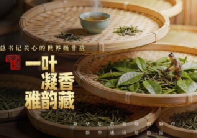 总书记关心的世界级非遗｜一叶凝香雅韵藏