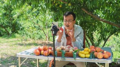 孝昌桃农的“云上新生活” 