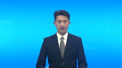 李惠芬到王店镇调研督导高标准农田建设突出问题整治工作