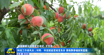 科技工作者风采丨刘明：返乡逐梦 千亩桃园甜了乡村富了乡亲