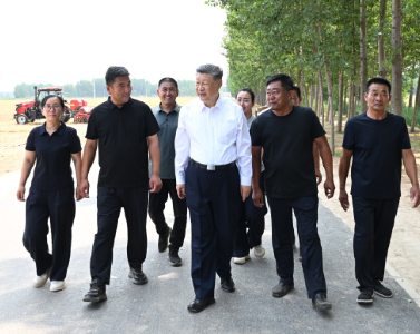 近镜头｜总书记心系“中国饭碗”