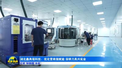 湖北鑫典瑞科技：方寸精刃 赋能万象智造