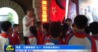 孝昌：红廉铸魂迎“七一” 田间地头践初心