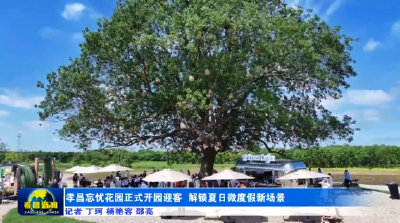 孝昌忘忧花园正式开园迎客 解锁夏日微度假新场景