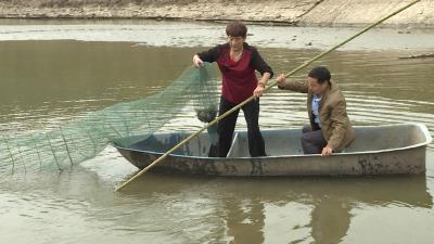 大悟特种养殖基地大闸蟹喜获丰收