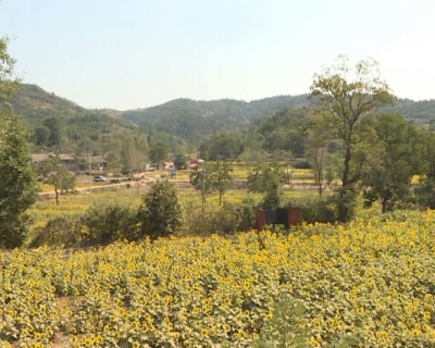 大悟县14个村入选国家乡村旅游扶贫重点村 