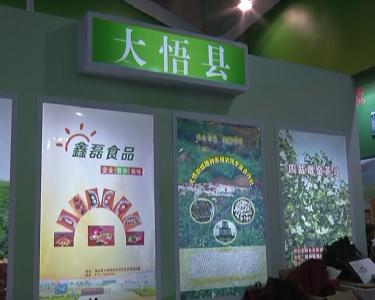 大悟县组团参加第十三届中国武汉农博会