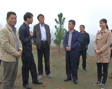 山西省临县考察团来大悟县考察涉农资金整合工作
