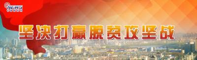 坚决打赢脱贫攻坚战  ——陶宏到大悟开展脱贫攻坚大走访大督办大调研侧记 