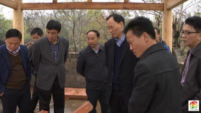 省林业厅厅长刘新池到金岭村调研林业生态建设情况