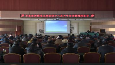 孝感市委宣讲团到大悟宣讲十八届六中全会精神