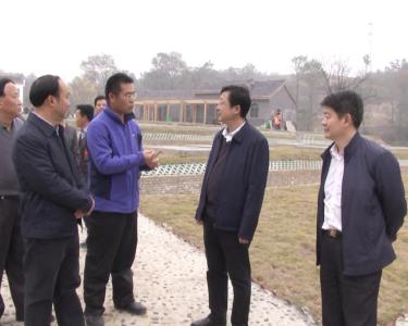 省委组织部常务副部长胡志强到金岭村调研精准扶贫工作和旅游乡村建设 
