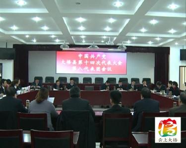 各代表团讨论审议“两个报告”