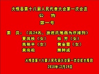 大悟县第十八届人民代表大会第一次会议公告